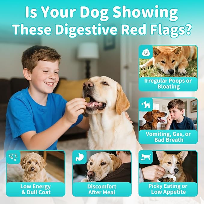 Probiotics for Dogs, Digestive Enzymes for Gut Health Support, Dog Fiber Supplement with Pumpkin for Diarrhea & Bowel Support, Upset Stomach & Gas Relief, Constipation - 60 Count Chicken Flavor