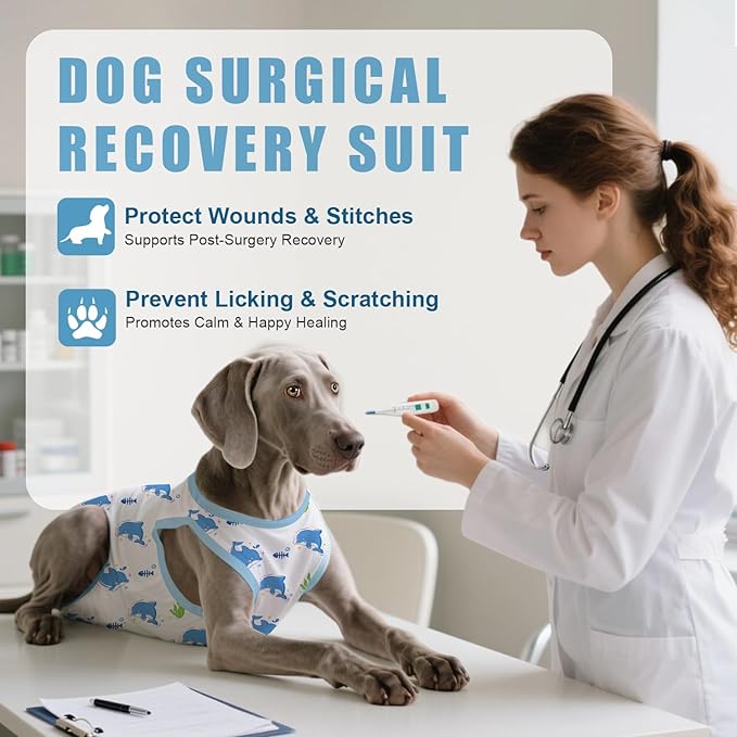 Recovery Suit for Dogs After Surgery, Professional Dog Surgical Suit for Female Spay, Male Neuter, E-Collar & Cone Alternative Dog Onesie for Abdominal Wounds Skin Disease, Blue, XS