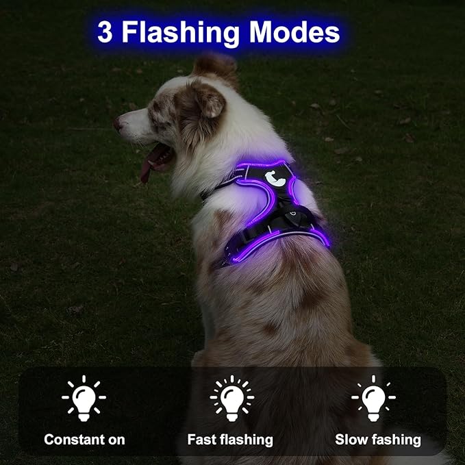 Taglory Light Up Dog Harness, Rechargeable No Pull Dog Vest with 3 Lightning Modes, Reflective Dog Harness with 2 Leash Clips & 4 Adjustable Slide Strips for Small Dogs, Black-Purple, S