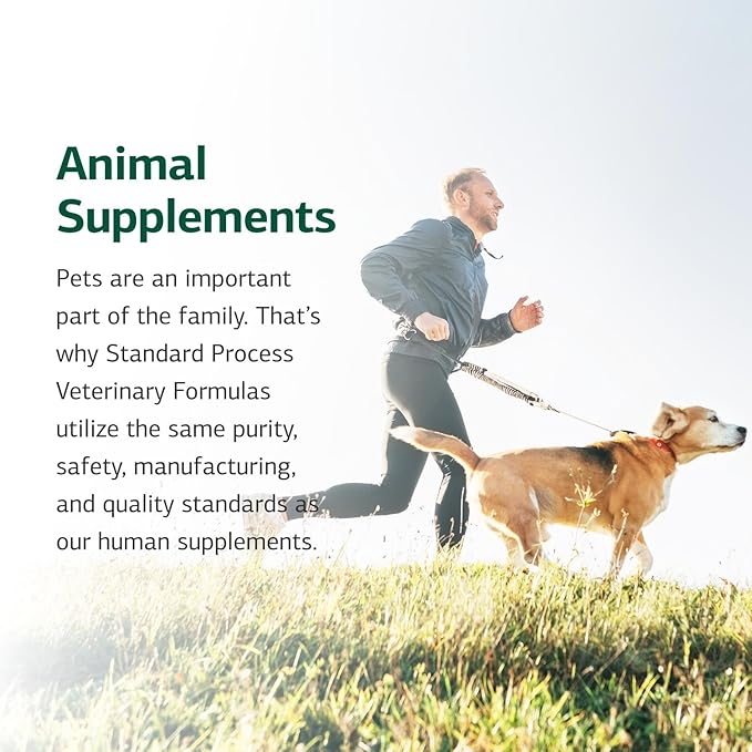 Standard Process Canine Dermal Support - Skin & Adrenal Gland Support Supplement - Comprehensive Skin Health Support Supplement for Dogs - Daily Immune & Liver Support Powder - 30 g