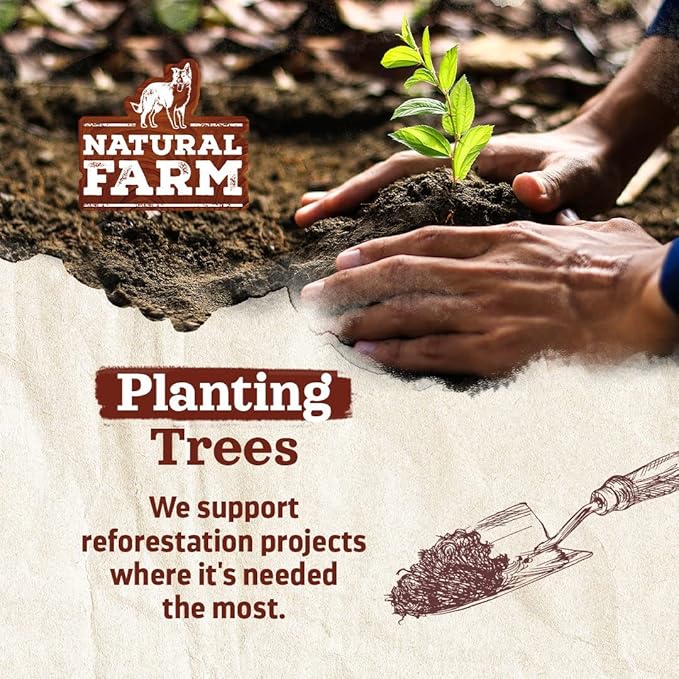 Natural Farm Jumbo Bully Sticks (6 Inch, 4 Pack), Odor Free, Extra-Thick Dog Chews - Fully Digestible 100% Beef Treats, Supports Dental Health, Keep Your Dog Busy with 50% Longer Lasting Chews