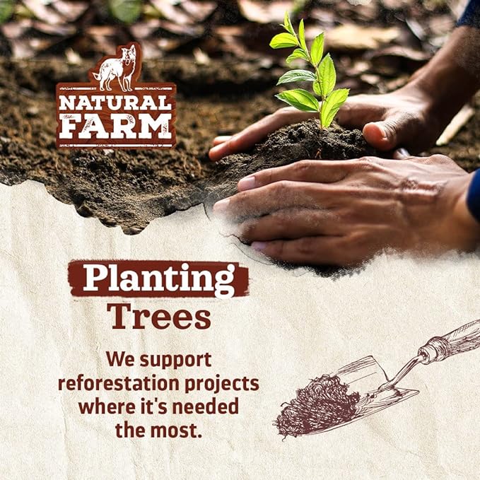 Natural Farm Odor-Free Jumbo Bully Sticks, (6 Inch, 2 Pack), Extra-Thick Chews for Dogs, Fully Digestible 100% Beef Treats, Great for Dental Health, Keep Your Dog Busy with 50% Longer Lasting Chews