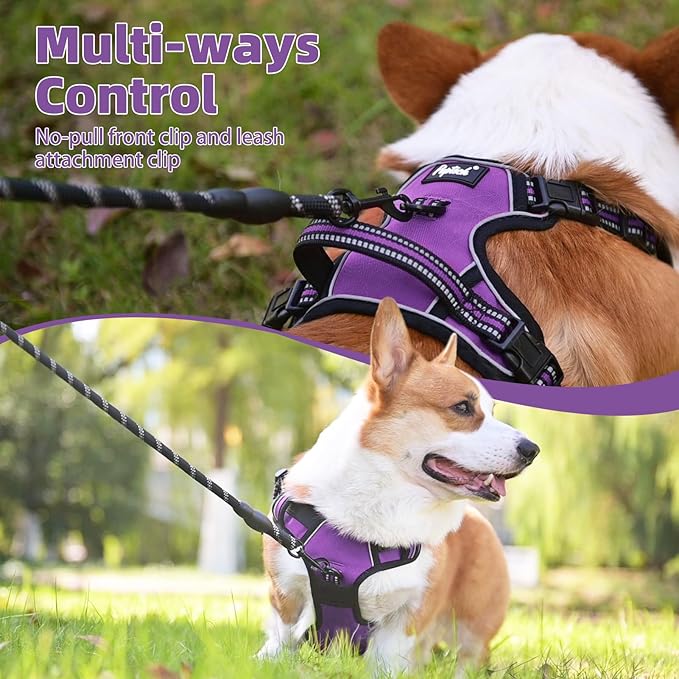PUPTECK No Pull Dog Harness for Large, Adjustable Reflective Dog Harness with Handle Easy Control, Comfortable Soft Padded Pet Vest Harness for Extra Large Dogs, Solid Purple XL