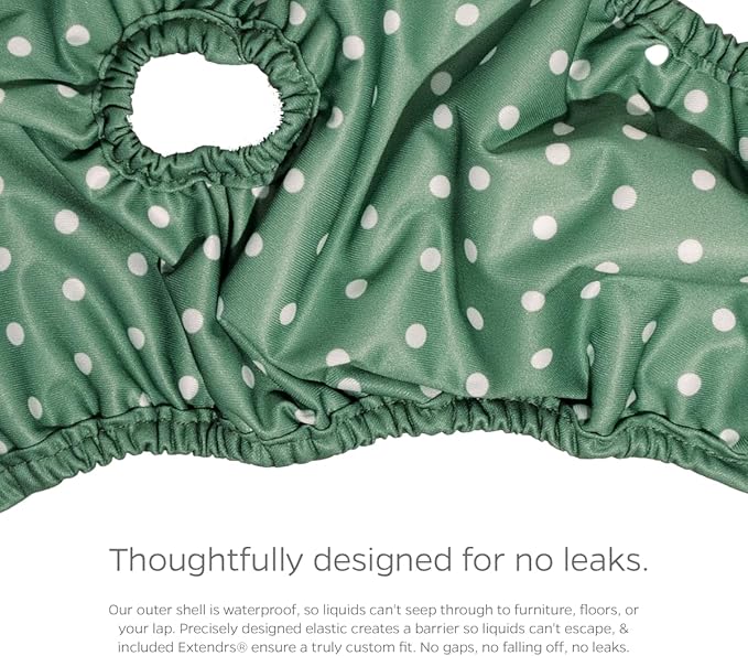 Pet Parents® Washable Dog Diapers (3pack) + Extendrs® of Durable Doggie Diapers, Premium Dog Diapers Female (Medium, Daisy)