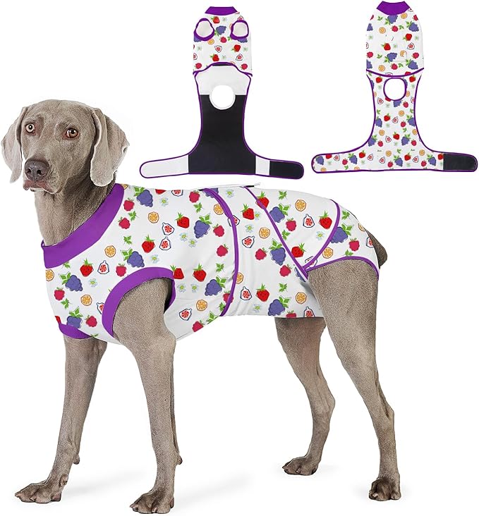 Recovery Suit for Dogs After Surgery, Professional Dog Surgical Suit for Female Spay, Male Neuter, E-Collar & Cone Alternative Dog Onesie for Abdominal Wounds Skin Disease, Purple, L