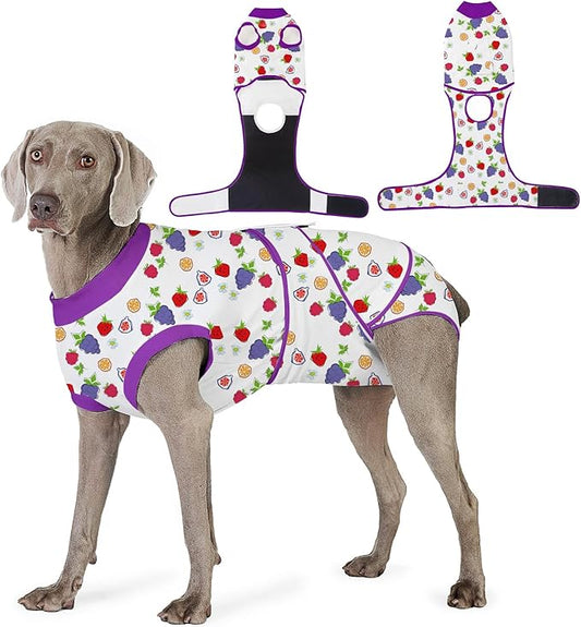 Recovery Suit for Dogs After Surgery, Professional Dog Surgical Suit for Female Spay, Male Neuter, E-Collar & Cone Alternative Dog Onesie for Abdominal Wounds Skin Disease, Purple, L
