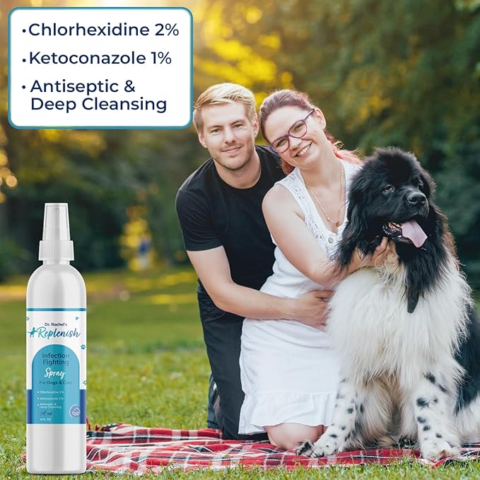 Replenish Antiseptic Spray for Dogs – Medicated Anti Itch Spray for Pets – Chlorhexidine & Ketoconazole Pet Spray – Dog Itching Skin Relief - Antiseptic Spray for Cats Skin Allergy – 8 oz