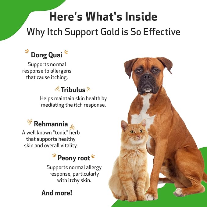 Pet Wellbeing Itch Support Gold for Dogs - Occasional Itching, Scratching, and Hot Spots, Environmental and Seasonal Allergies, Dong Quai - Veterinarian-Formulated Herbal Supplement (4 fl oz (118 ml))