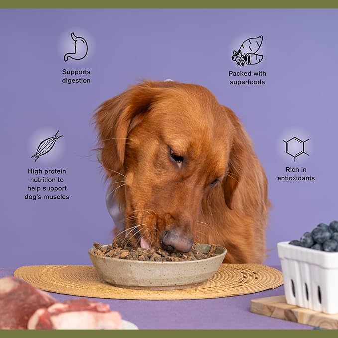 Superfood Complete, Air-Dried Adult Dog Food - High Protein, Zero Fillers, Superfood Nutrition by Katherine Heigl (24 oz, Beef & Bison Formula)