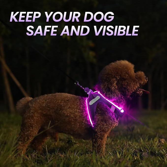 PceoTllar Light Up Dog Harness, LED No Pull Reflective Dog Harness, Flashing Lighted for Night Walking - Small/Medium, (Puplr,S)