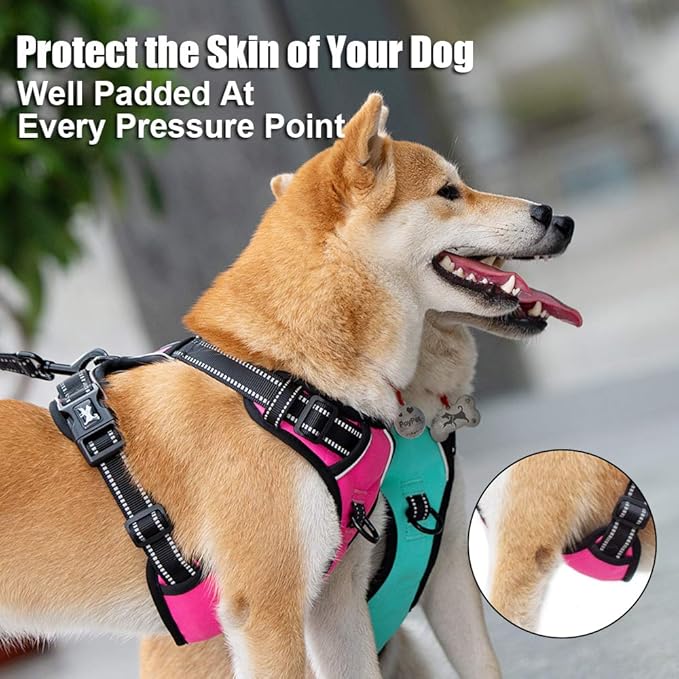 PoyPet No Pull Dog Harness, Reflective Comfortable Vest Harness with Front & Back 2 Leash Attachments and Easy Control Handle Adjustable Soft Padded Pet Vest for Small to Large Dogs (Mint Blue,S)