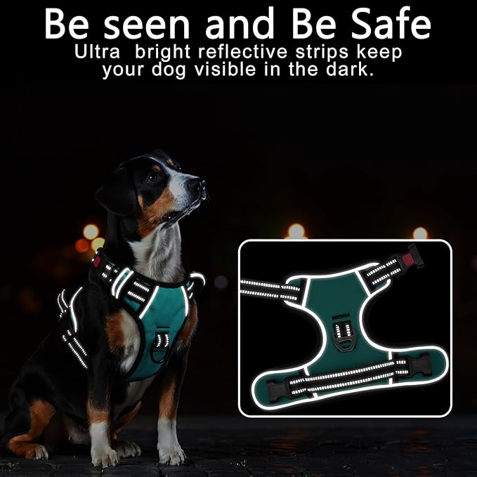 Timos Dog Harness, No-Pull Pet Harness with 2 Leash Clips, 3 Snap Buckles Adjustable Soft Padded Dog Vest, Reflective No-Choke Pet Oxford Vest with Easy Control Handle for Small Medium Large Dogs