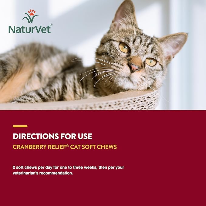 NaturVet Cranberry Relief Plus Echinacea for Cats, 60 ct Soft Chews, Made in The USA with Globally Source Ingredients