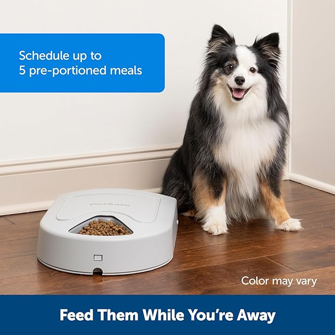 PetSafe Automatic Dog Feeder, 5 Meals, 40 oz Capacity, Plastic, for Dry Food, Multiple Pets (Pack of 2)