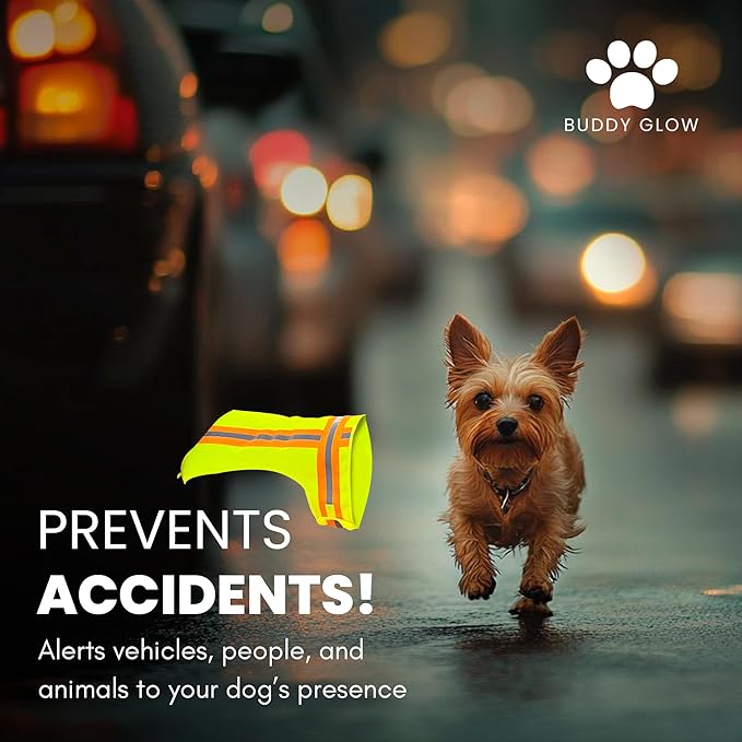 Reflective Dog Vest: Hi-Visibility Safety Gear for Outdoors. Safeguard Your Dog with Easy to wear Adjustable Reflective Vest (Small)