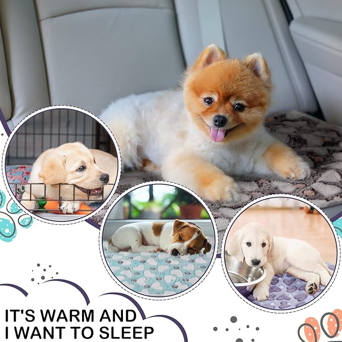 Reginary 4 Pcs Waterproof Guinea Pig Blankets Washable Small Animal Fleece Bedding Absorbent Guinea Pig Cage Liners Reusable Pet Pee Pad Sleep Mat for Hamster Ferret(Heart Pattern,35 x 24 Inch)