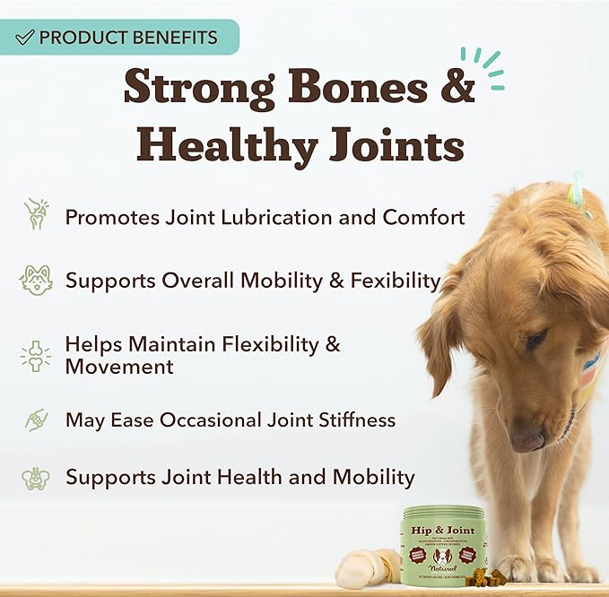 Natural Dog Company Hip & Joint Chews, Chicken Liver & Turmeric Flavor, with Glucosamine Chondroitin for Dogs, Maintains Bone and Joint Health, Supplements for Seniors and Puppies, 90 Count
