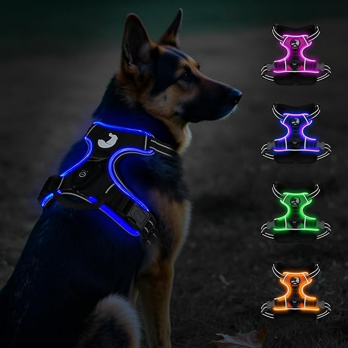 Taglory Light Up Dog Harness, Rechargeable No Pull Dog Vest with 3 Lightning Modes, Reflective Dog Harness with 2 Leash Clips & 4 Adjustable Slide Strips for Large Dogs, Black-Blue, XL