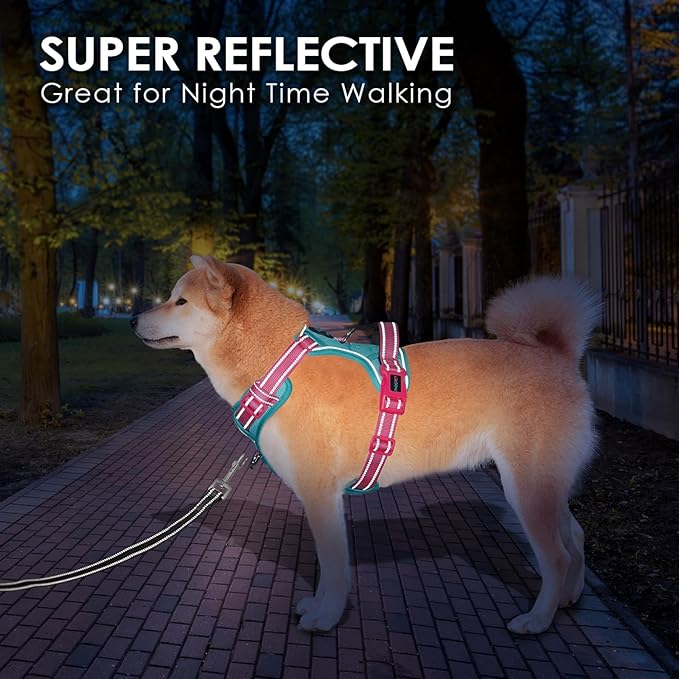 PHOEPET No Pull Dog Harness, Unique Colors Reflective Adjustable Dog Vest, with Soft Training Handle Metal Clips for Small Medium Large Dogs (Mint Green Base & Pink Straps,XL)