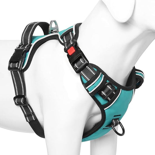 Timos Dog Harness, No-Pull Pet Harness with 2 Leash Clips, Adjustable Soft Padded Dog Vest, Reflective Outdoor Pet Oxford Vest with Easy Control Handle Turquoise