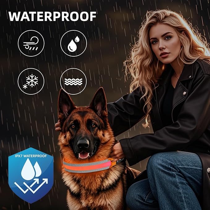 PetIsay LED Dog Collar Metal Buckle - Heavy Duty Light up Collars - Rechargeable IP68 Waterproof - Lighted Dog Collar for Night Walking, Hiking, Camping (Medium, Orange)