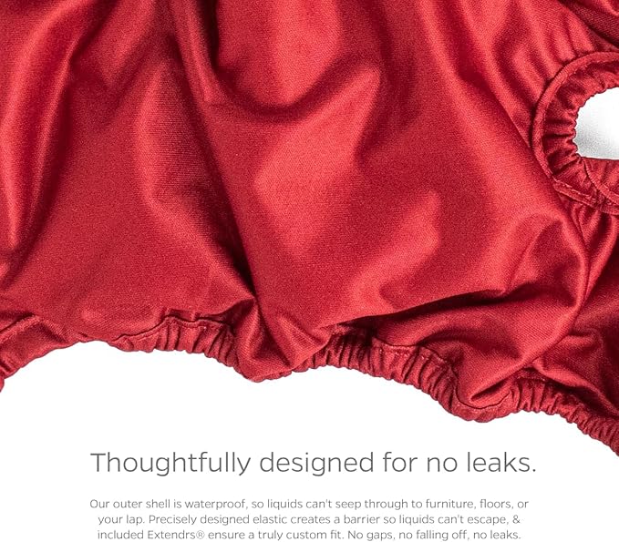 Pet Parents® Washable Dog Diapers (3pack) + Extendrs® of Durable Doggie Diapers, Premium Dog Diapers Female (X-Small, Samba)