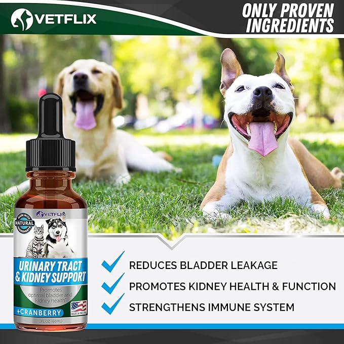 Cranberry Dog & Cat UTI Treatment - Best UTI for Pets - Made in USA - Dog & Cat Kidney Support - Cat Bladder Drops - Pet Immune Health Supplement - Marshmallow, Dandelion Root, Pumpkin Seed - 2 Fl Oz