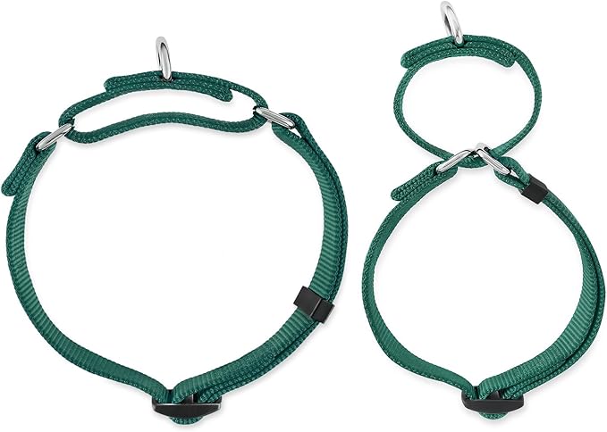 Hyhug Elite Anti-Escape Martingale Collar-Small Boy and Girl Dog Collar Safer and Comfy