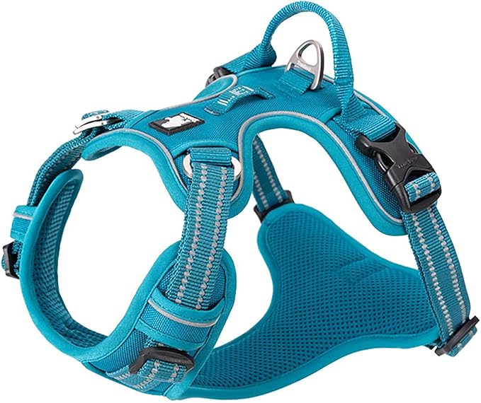 TRUE LOVE Dog Harness No Pull Nylon Reflective Pet Harness Adjustable Comfortable Control Step-in Brilliant Colors Truelove TLH56512 XS Blue