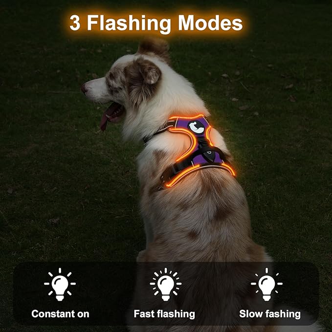 Taglory Light Up Dog Harness, Rechargeable No Pull Dog Vest with 3 Lightning Modes, Reflective Dog Harness with 2 Leash Clips & 4 Adjustable Slide Strips for Large Dogs, Purple-Orange, XL