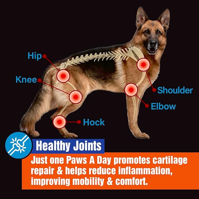 Glucosamine for Dogs Hip & Joint Supplement – “Two-in-One Combo” Dog Joint Care and Improved Skin & Coat with Chondroitin, MSM, Omega 3, Collagen & Biotin, 60 Chewable Tablets