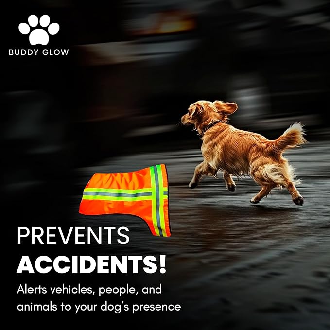 Reflective Dog Vest – Fluorescent Orange | High-Visibility, Water-Resistant Safety Jacket with Adjustable Fit for Day & Night Walks, Hiking, Hunting, and Outdoor Use (Large)