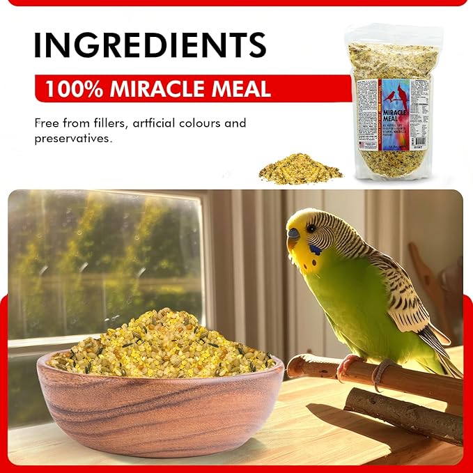 Morning Bird Miracle Meal 1.5 lbs – Soft Food for Birds with Vitamins & Supplements – Packed with Protein, Minerals & Amino Energy – Promotes Strong Feathers, Breeding & Overall Wellness