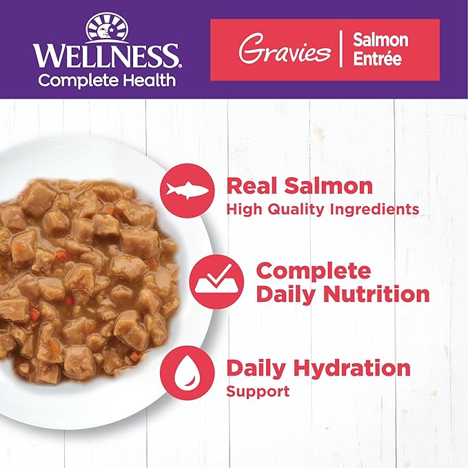 Wellness Complete Health Gravy Adult Wet Cat Food, Natural, Protein-Rich, Grain Free, 3 Ounce, 12 Pack, (Salmon Entree)