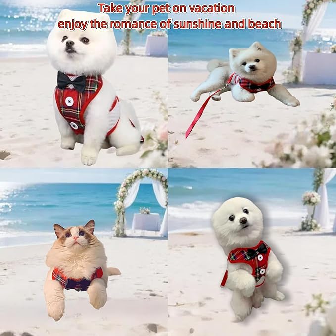 Dog Tuxedo for Wedding, Formal Pet Suit with Bow Tie and Leash, Adjustable Dog Costume for Small Medium Large Dogs, Birthday Christmas Halloween Party Apparel, M（8-14LB）