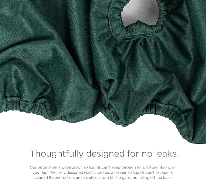 Pet Parents® Washable Dog Diapers (3pack) + Extendrs® of Durable Doggie Diapers, Premium Dog Diapers Female (Large, Spruce)