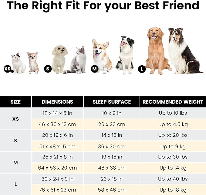 Miguel Washable Dog & Cat Bed with Removable Cushion for Medium & Small Dogs, Easy to Wash Pet Sofa Bed with Side Bolster, Anti-Slip Bottom, Brown, 30 Inch Rectangle
