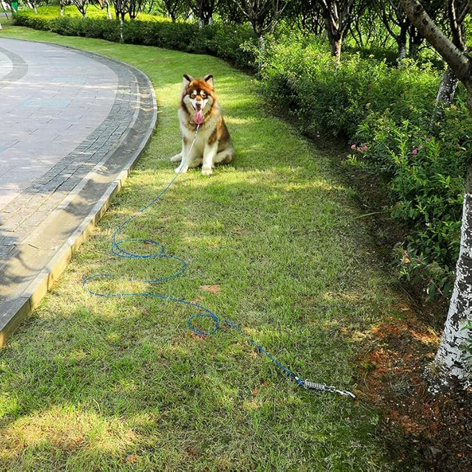 Tie Out Cable for Dog,20FT Dog Leads with Swivel Hook and Shock Spring,Heavy Duty Tie Out Cable for Large Dogs Up to 125lbs,Durable Dogs Runner Tether Line for Outdoor,Yard