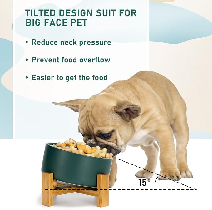 SPUNKYJUNKY 15° Slanted Ceramic Dog and Cat Bowl with Wooden Stand, Tilted Bulldog Food and Water Bowl No Slip Non-Spill for Cats Medium Dogs Big Face Pets 28.7 OZ (3.6 Cups, Green)