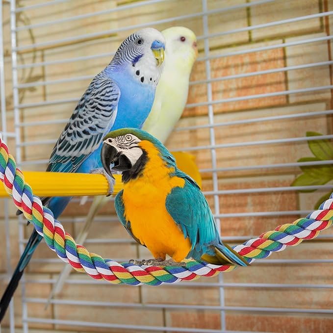 iplusmile Bird Rope Perches Toys for Parrots, Birdcage Spiral Swing Bungee Colorful Rope Toy for Parrots, Cockatiels, Parakeets, Budgie Cages Accessories (40inch)