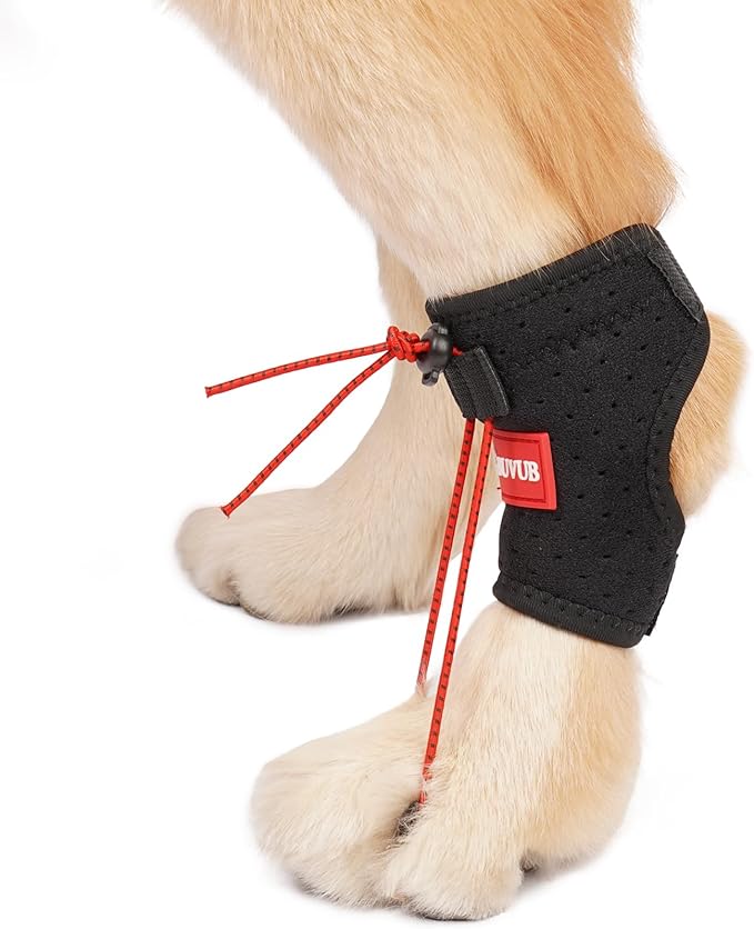 Dog Canine Knuckling Brace Rear Leg Dog Foot Brace Wrap for Toe Dragging Cause by Sciatic Nerve Insufficiency, Myelopathy, Herniated Disc (XLarge)