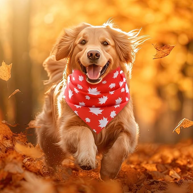 Weewooday 50 Pcs Fall Dog Bandanas Bulk for Dogs Soft Bibs Adjustable Triangle pet Bandana for Small Medium Large Costume(Leaves Pattern, 25.6 x 17.7 x 17.7 Inch)