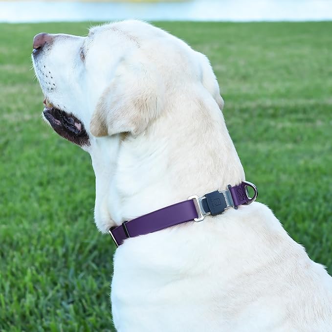 Dogline Biothane Waterproof Dog Collar with Herm Sprenger Black Stainless Steel Quick Release Buckle – Heavy Duty Tactical Durable Collar for Dogs – Comfortable and Safe Pet Collar W1 L 15-25" Purple