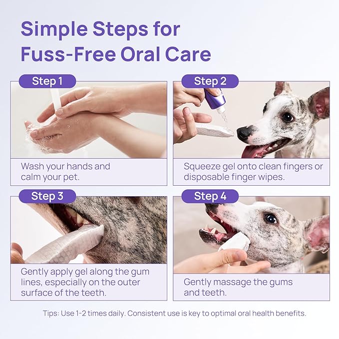 HICC PET Dog Dental Care, Oral Hydro Gel Teeth Cleaning and Breath Freshener for Dog and Cat, Relieve Gum Redness, Soothes Inflammation, Reduce Tarter and Plaque, Safe for All Animals, 2 Fl Oz