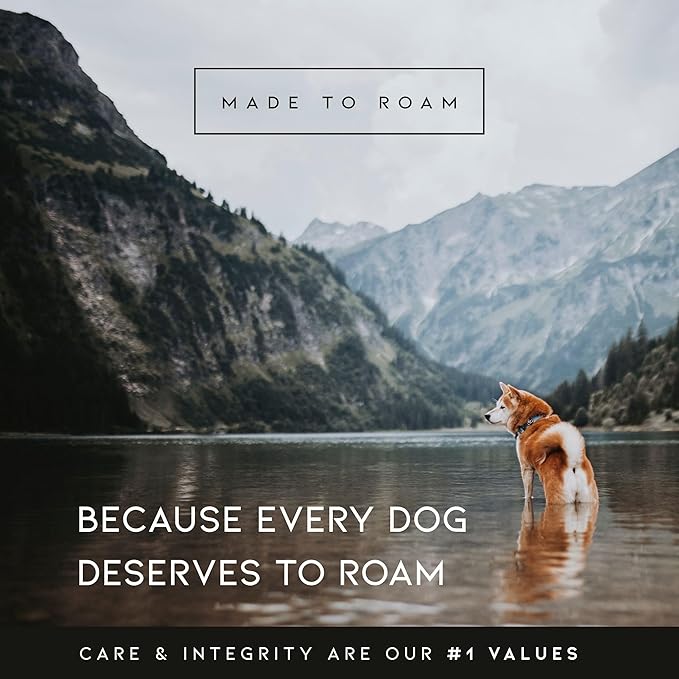 MADE TO ROAM Premium Explorer Harness - Y-Shaped Dog Harness with Adjustable Durable Nylon, Soft Padding, Metal Buckles and Leather Handle for Small, Medium, Large Dogs (New York Afterlight, Size 2)