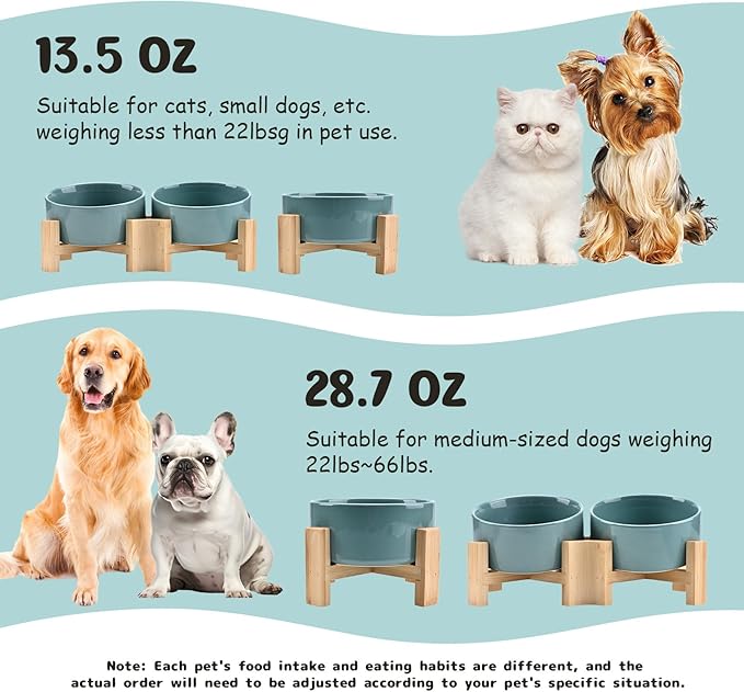 SPUNKYJUNKY 15° Slanted Ceramic Dog and Cat Bowl with Wooden Stand, Tilted Bulldog Food and Water Bowl No Slip Non-Spill for Cats Medium Dogs Big Face Pets 13.5 OZ (1.7 Cups, Light Green × 2)