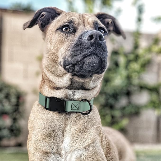 Dogline Biothane Waterproof Dog Collar with Quick Release Buckle Strong Coated Nylon Webbing with Odor- Proof for Easy Care Easy to Clean Fits Small Medium Large Dogs, Sage Green 3/4" W 12-19" L