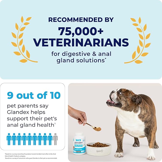 Vetnique Labs Glandex Dog Fiber Supplement Powder for Anal Glands with Pumpkin, Digestive Enzymes & Dog Probiotics for Digestive Health - Vet Recommended - Boot The Scoot (Pork Liver, 2.5oz Powder)