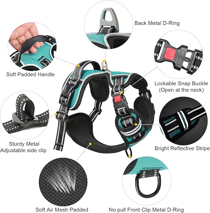 Timos Dog Harness, No-Pull Pet Harness with 2 Leash Clips, Adjustable Soft Padded Dog Vest, Reflective Outdoor Pet Oxford Vest with Easy Control Handle Turquoise