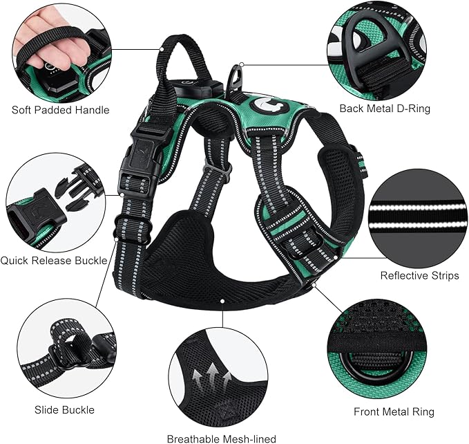 Taglory Light Up Dog Harness, Rechargeable No Pull Dog Vest with 3 Lightning Modes, Reflective Dog Harness with 2 Leash Clips & 4 Adjustable Slide Strips for Medium Dogs, Turquoise-Green, M